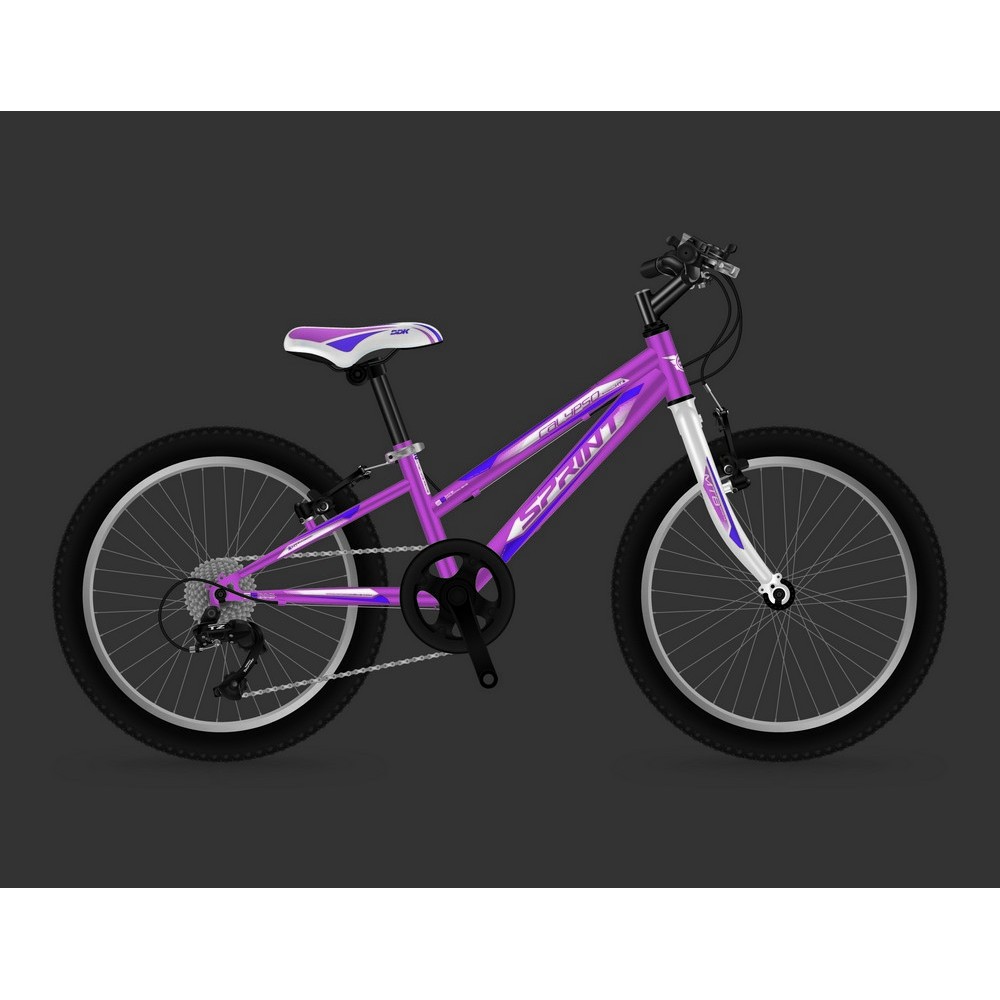 Kids bike Xplorer Sprint Calypso