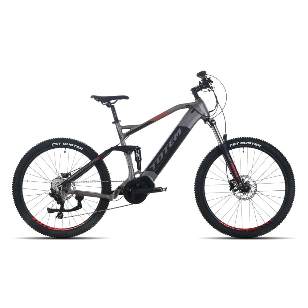 Xplorer E-bike CARRY PRO 29"