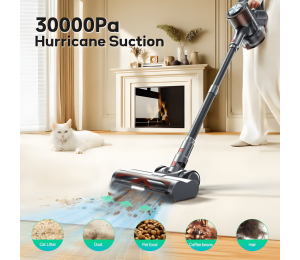Xplorer P9 cordless vacuum cleaner