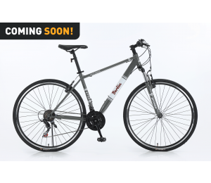 Xplorer City bike BERLIN Gray 28"