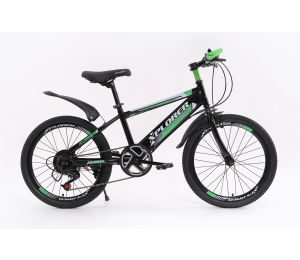 Kids bicycle Xplorer Ranger black-green 20"