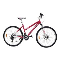 reebok freedom women's bike